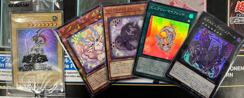 12.10 遊戲王混沌戰士(通常怪獸) GET大會 瑞士輪第一位- 卷毛 戰報分享、對新表展望