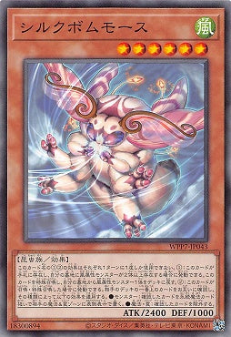 WPP7-JP043 絲炸彈蛾