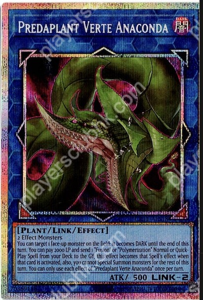 CR11-AES18 (PSER)Predaplant Verte Anaconda(捕食植物 佛德角蟒蛇)