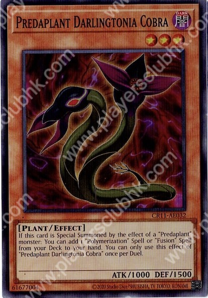 CR11-AE032 (SR)Predaplant Darlingtonia Cobra(捕食植物 蛇瓶草眼鏡蛇)