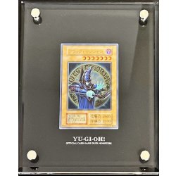 ノルウェー公式遊戯王ゴールドメダル - 栗色のボール