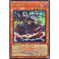 26LP-JP009 (SER 26LP ) VS 蛟龍