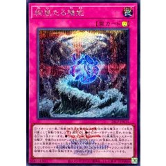 26LP-JP015 (SER 26LP) 絢嵐たる権能