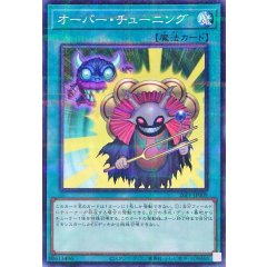 26PP-JP009 (NPR)過度協調