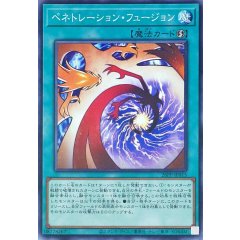 26PP-JP015 (N)穿刺融合