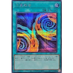 26PP-JP027 (SER) 二重融合