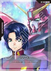 RP-008 資源