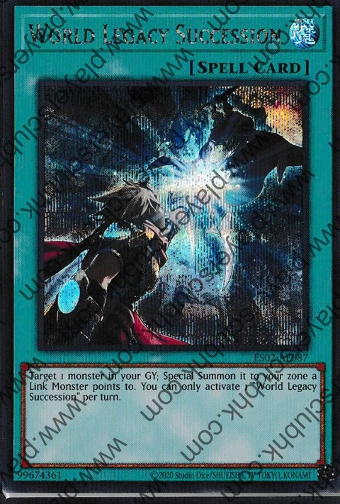 ES02-AE087 (SER)World Legacy Succession