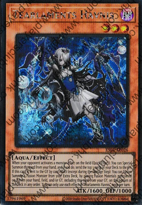 ES02-AE026 (SER)Tearlaments Havnis