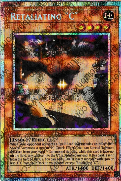 ES02-AE009 (PSER)Retaliating "C"