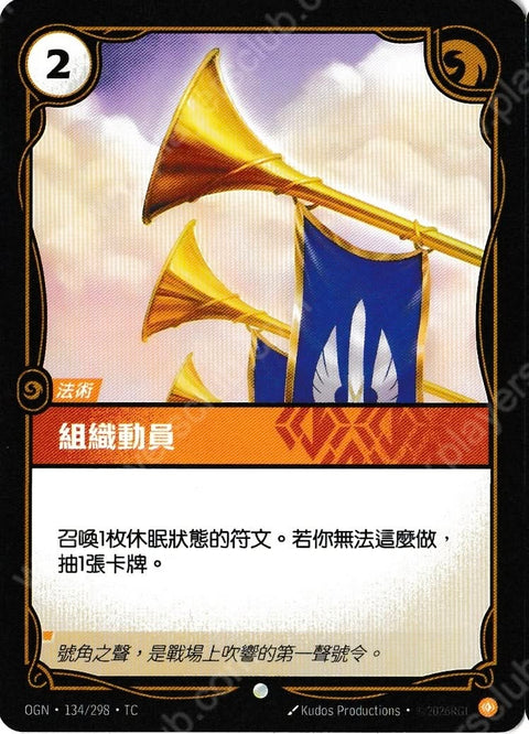 OGN TC 134/298 組織動員