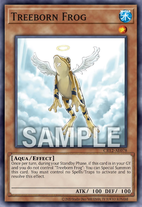 CR12-AE078 Treeborn Frog