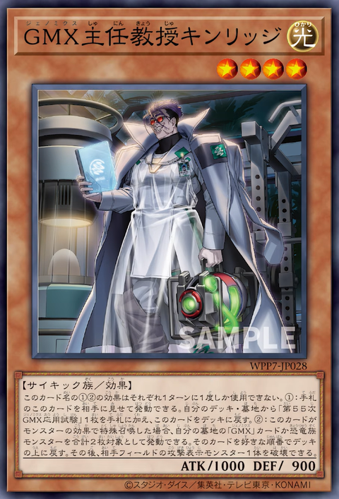 WPP7-JP028 GMX主任教授 金里奇