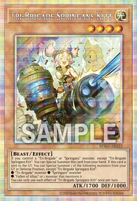 BPRO-AE025 (PSER)Tri-Brigade Springans Kitt