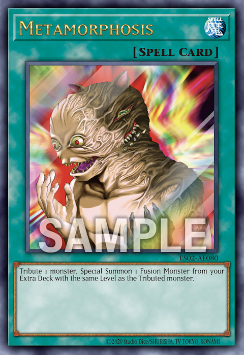 ES02-AE080 (UTR)Metamorphosis