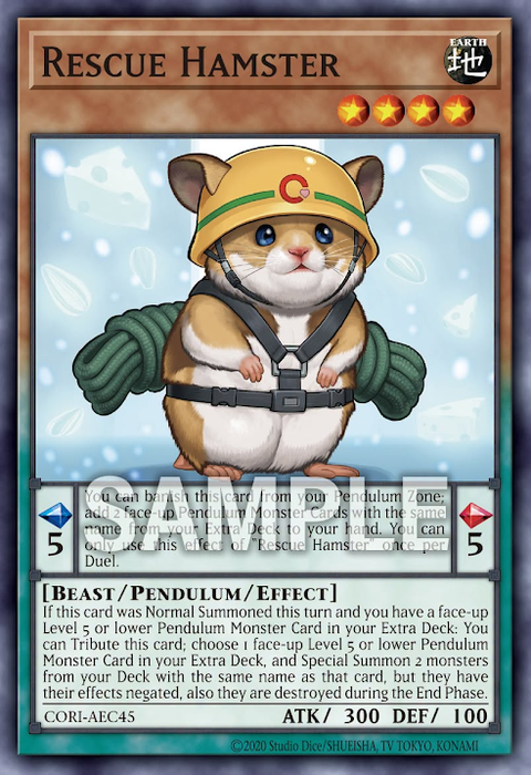 CORI-AEC45 Rescue Hamster