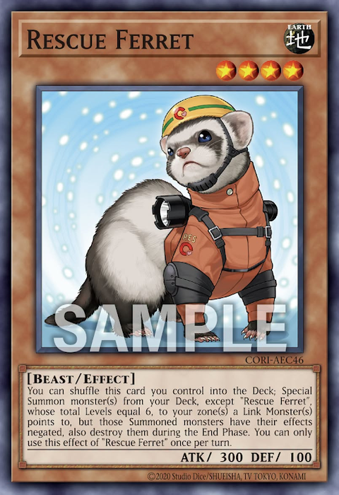 CORI-AEC46 Rescue Ferret