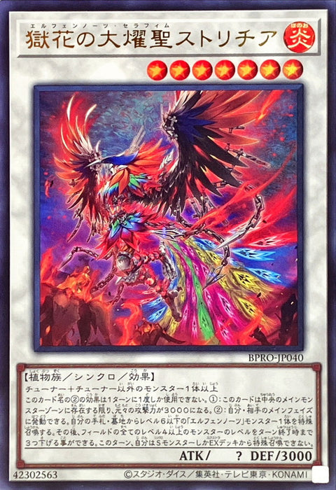 BPRO-JP040(UR)獄花の大燿聖ストリチア(獄花之大耀聖鶴望蘭)