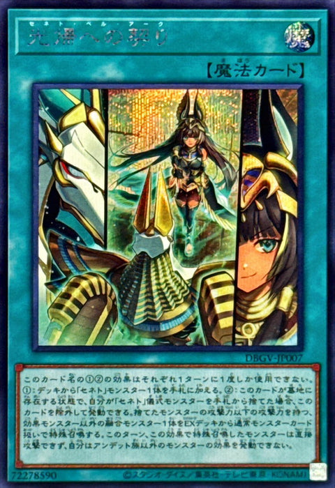 DBGV-JP007 (SER) 塞尼特 光歸契約