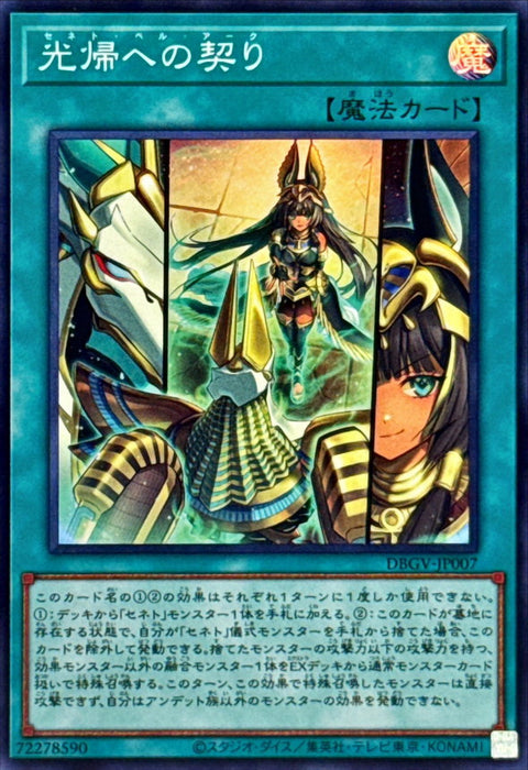 DBGV-JP007 (SR) 塞尼特 光歸契約