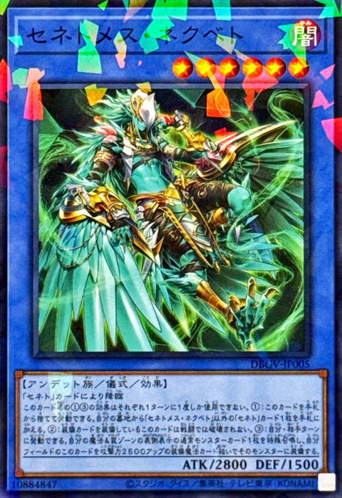 DBGV-JP005 (NPR) 塞尼特摩斯 奈赫貝特