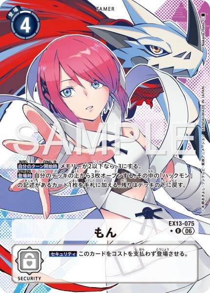 EX13-075 (R*)
小紋