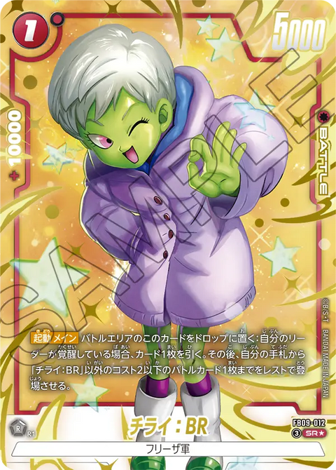 FB09-012
SR*
チライ:BR