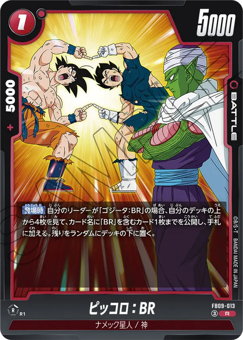 FB09-013
R
ピッコロ:BR