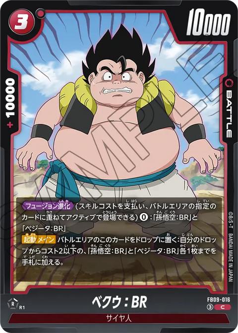 FB09-016
C
ベクウ:BR