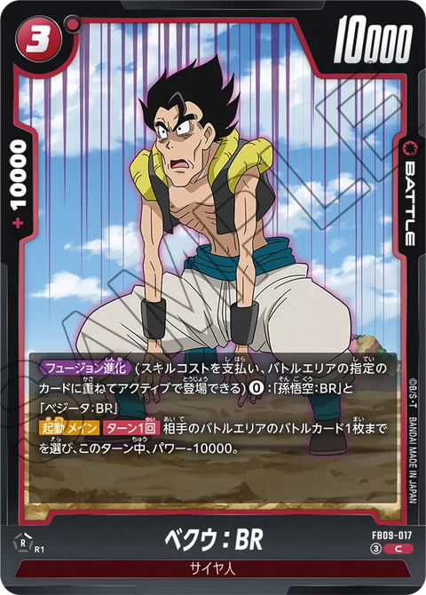 FB09-017
C
ベクウ:BR