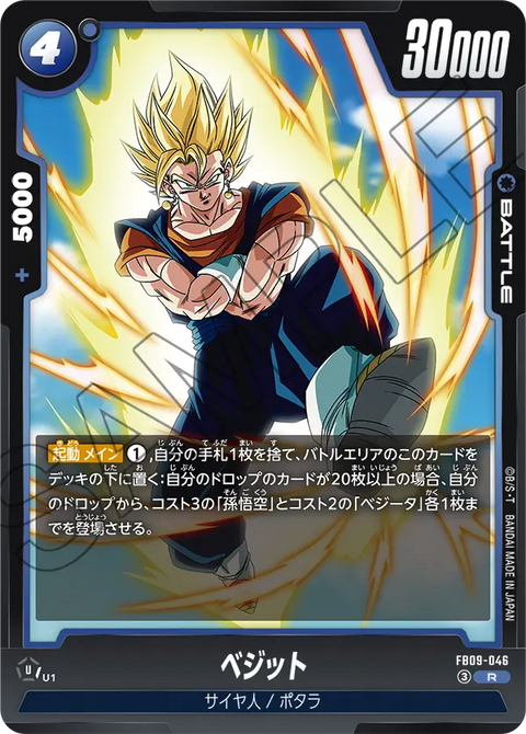 FB09-046
R
ベジット