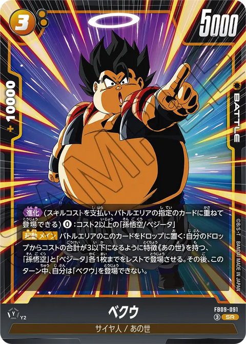 FB09-091
SR
ベクウ