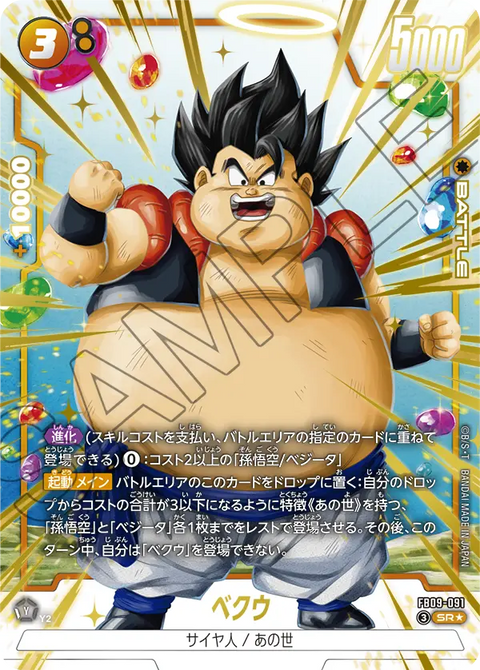 FB09-091
SR*
ベクウ