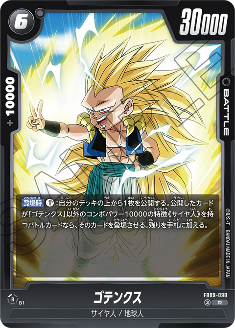 FB09-098
R
ゴテンクス