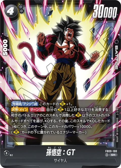 FB09-100
SR
孫悟空:GT