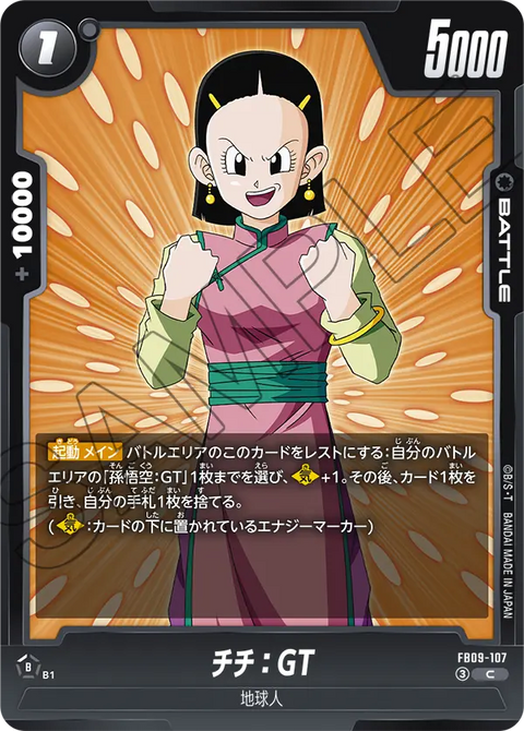 FB09-107
C
チチ:GT