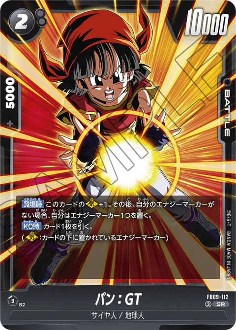 FB09-112
SR
パン:GT