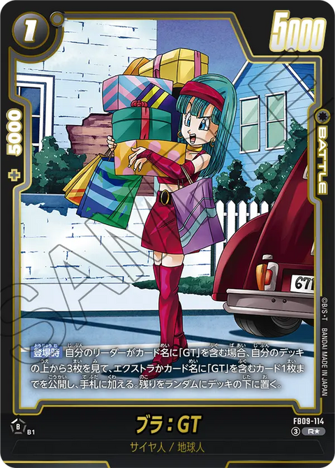 FB09-114
R*
ブラ:GT