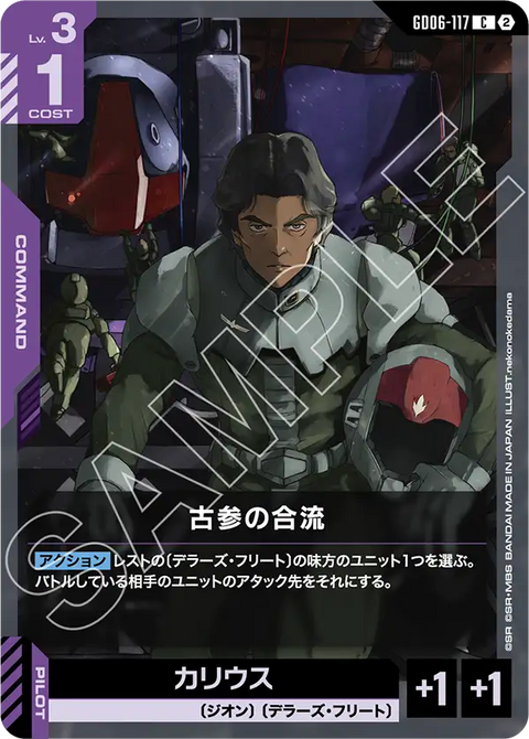 GD06-117
C
老兵會合