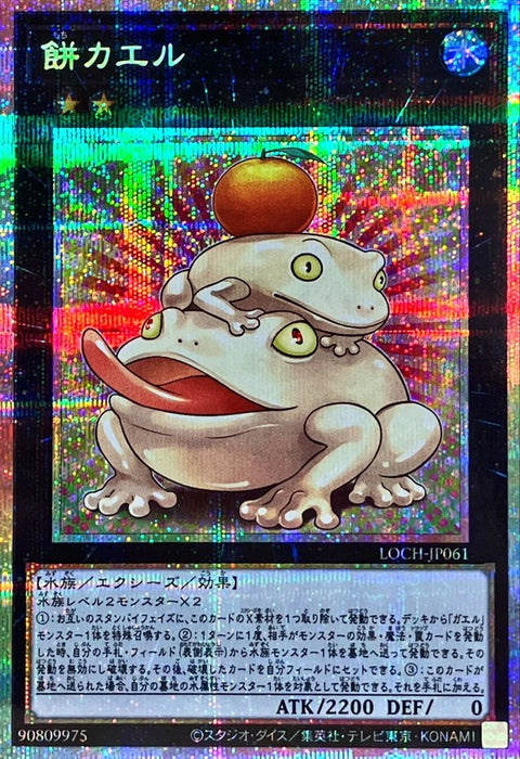 LOCH-JP061 (PSER) 餅蛙