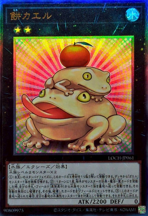 LOCH-JP061 (UTR) 餅蛙