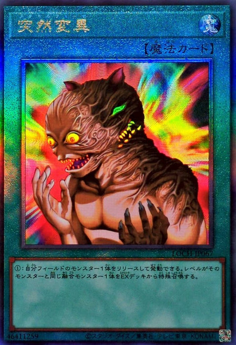 LOCH-JP067 (UTR) Sudden Evolution
