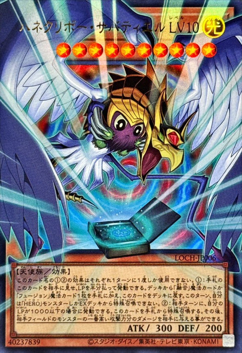 LOCH-JP006 (ORR) 羽翼栗子球 薩巴希爾 LV10