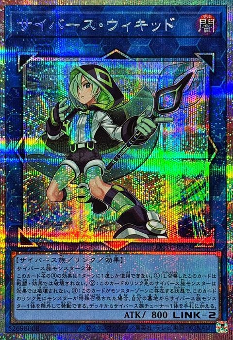 LOCH-JP063 (PSER) E-Rat