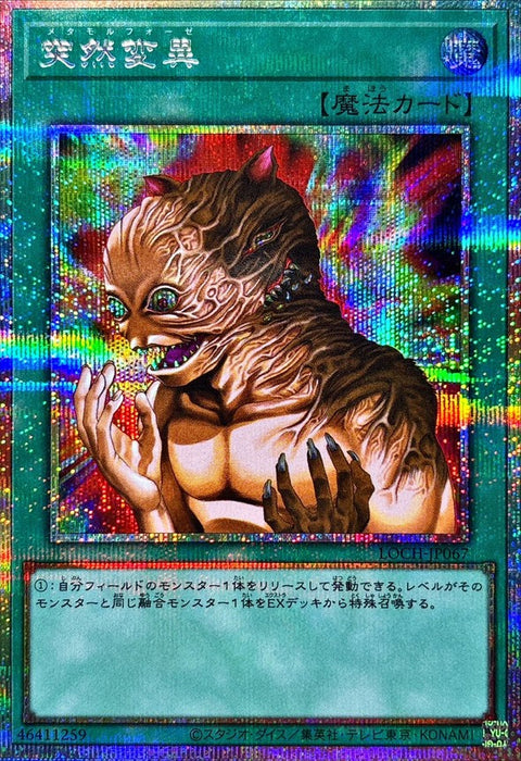 LOCH-JP067 (PSER) 突然變異