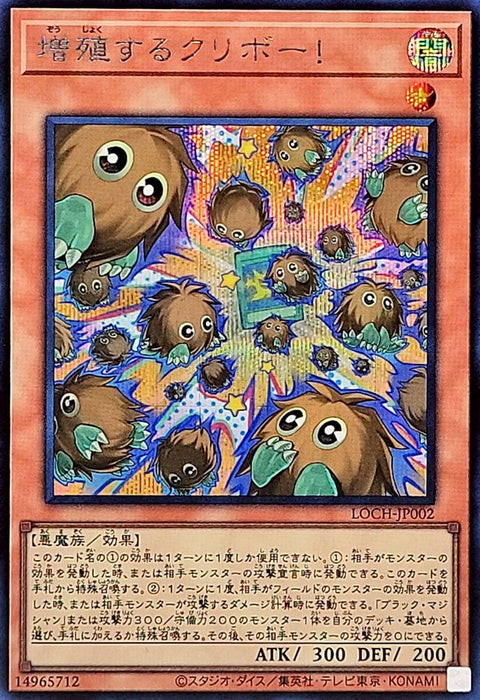 LOCH-JP002 (SER) 增殖的栗子球!