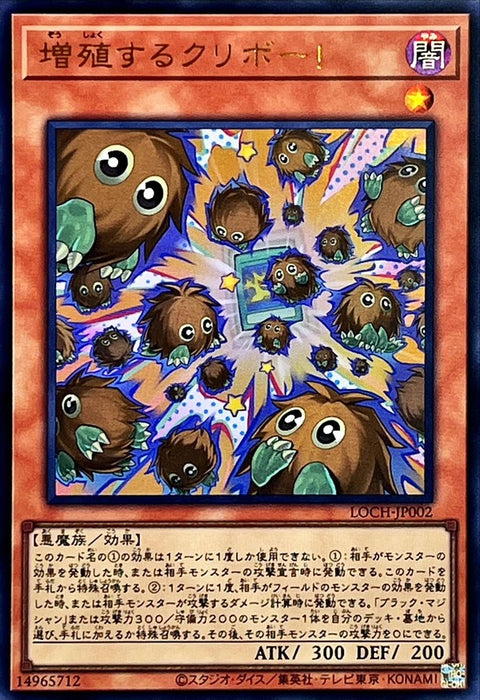 LOCH-JP002 (UR) 增殖的栗子球!