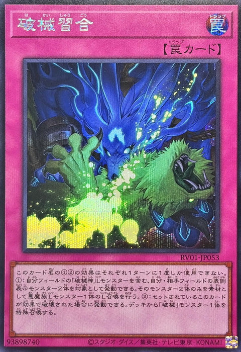 RV01-JP053 (SER) 破械習合