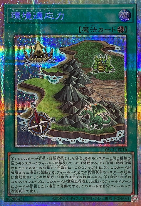 YAC1-JP016 (PSER) 環境適應力