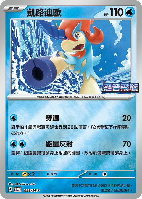 031/MP 震えるサラマンダー